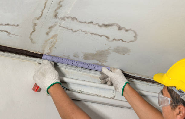 Reliable Basement Water Removal contractor in Hiawassee, GA by Water Damage Irwin
